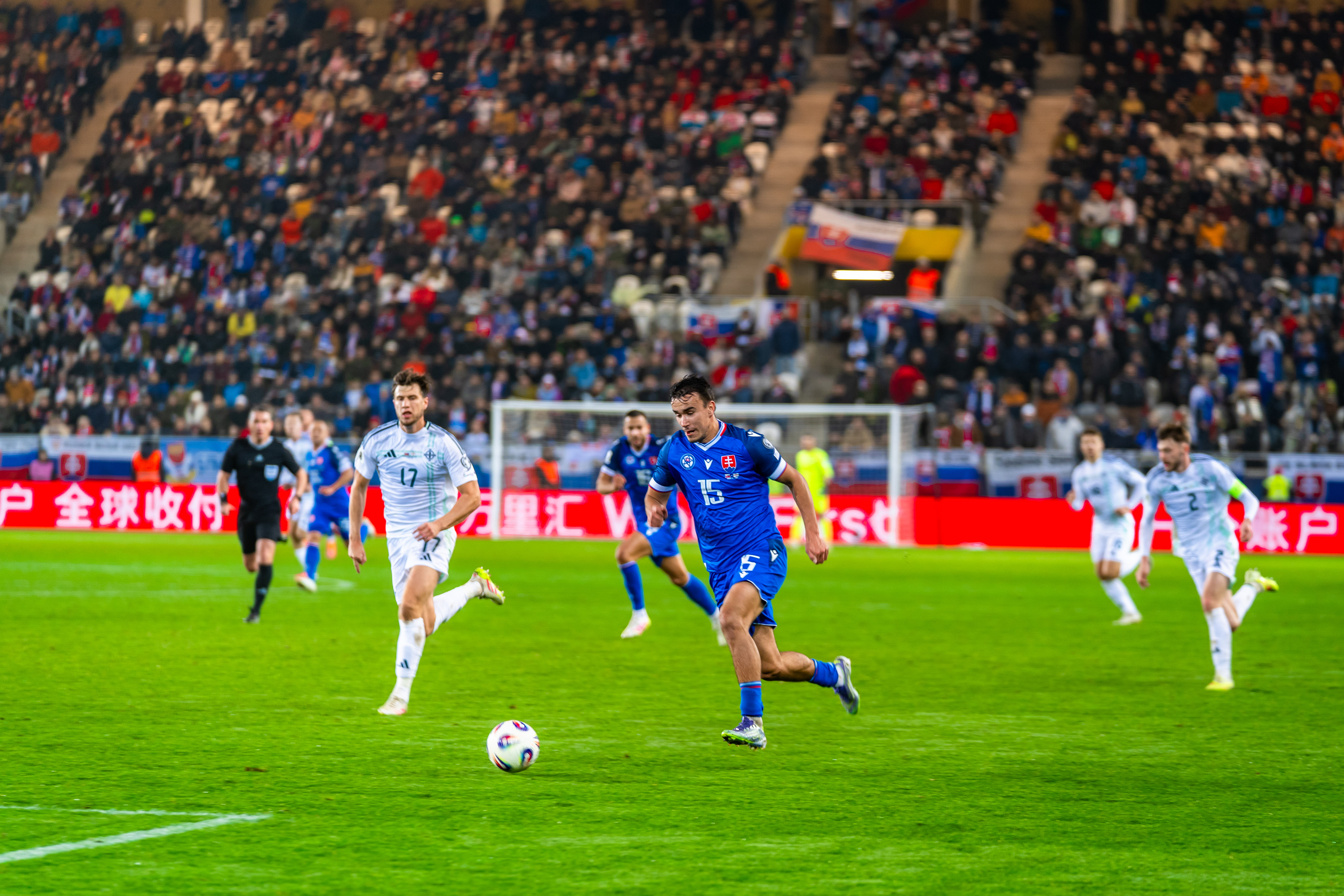 Slovensko vs Severne Irsko-36